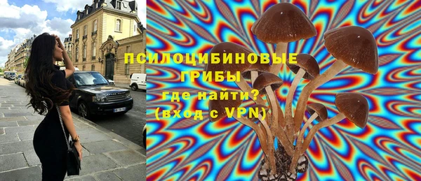 мяу мяу мука Михайловск