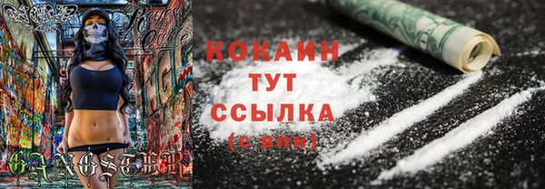 мяу мяу мука Михайловск