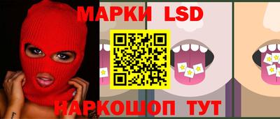 молекула духа Кингисепп