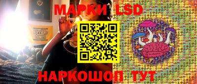 молекула духа Кингисепп