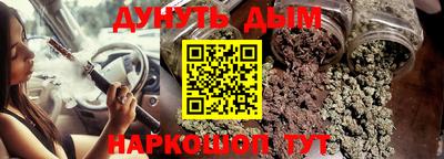 шишки Камышлов