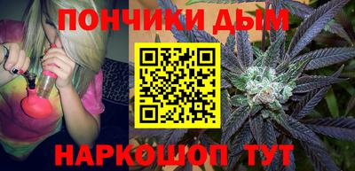 шишки Камышлов