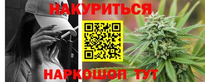 молекула духа Кингисепп