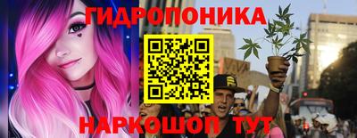 Альфа ПВП Кандалакша