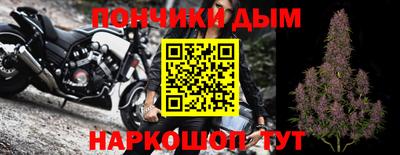 молекула духа Кингисепп