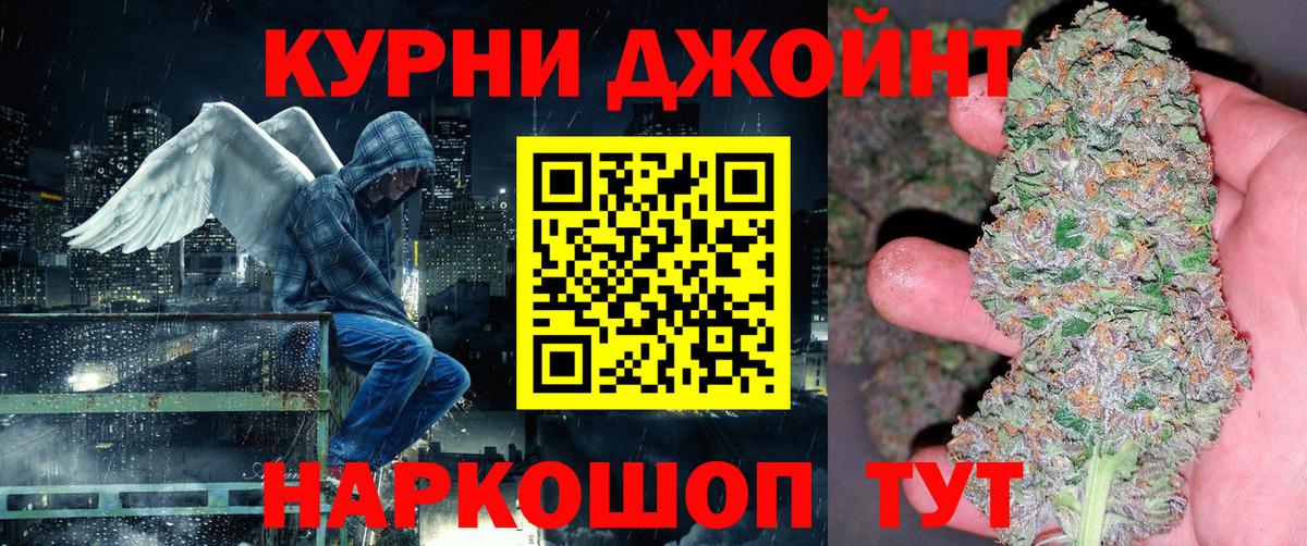 Галлюциногенные грибы Балтийск