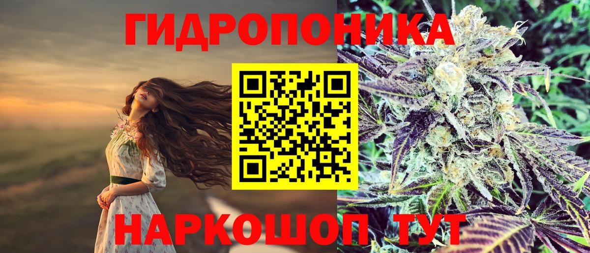 Марихуана тримм Балтийск